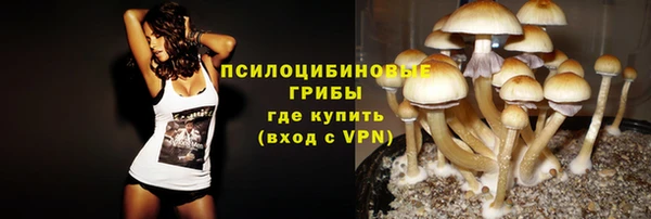 соль курить ск Алзамай