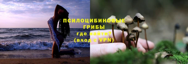 соль курить ск Алзамай