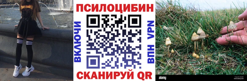 Галлюциногенные грибы мухоморы  Джанкой 